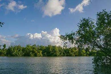 ??新開(kāi)一秒SF全攻略新手必看！快速稱(chēng)霸江湖的秘籍?